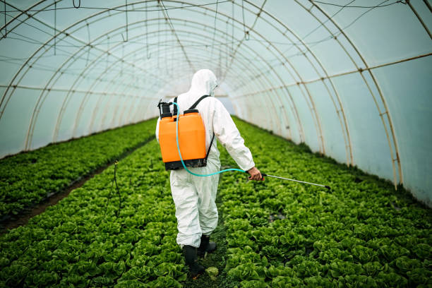 Best Affordable Pest Control Services  in Lindon, UT