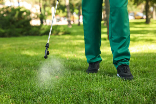 Reliable Lindon, UT Pest Control Solutions