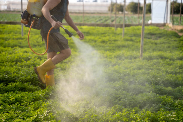 Best Best Pest Control Companies  in Lindon, UT