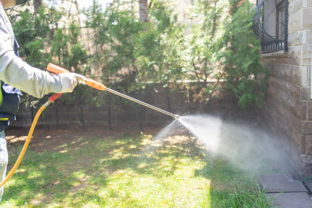 Best Pest Removal Services  in Lindon, UT