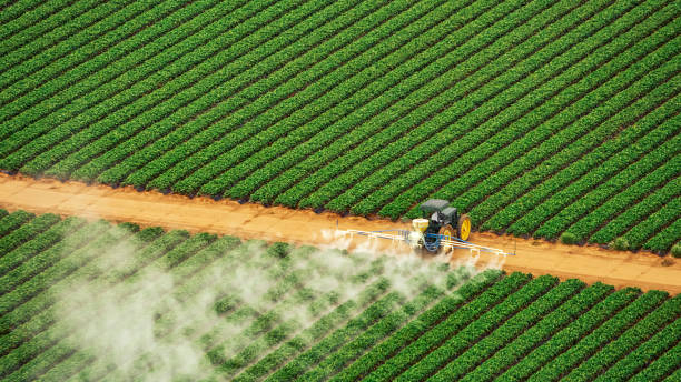 Best Commercial Pest Control Services  in Lindon, UT