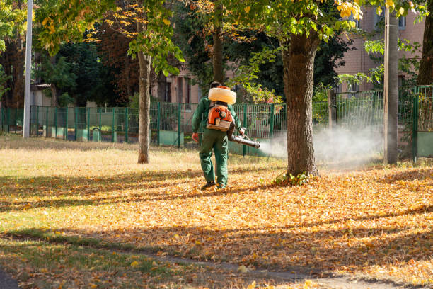 Best Best Pest Control Companies  in Lindon, UT