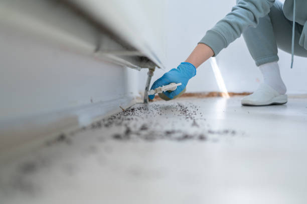 Best Emergency Pest Control  in Lindon, UT