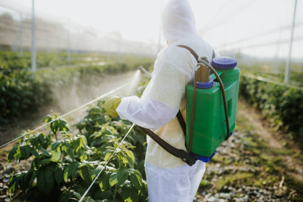 Best Flea Control Services  in Lindon, UT